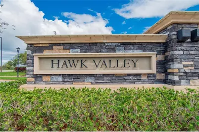 19356 Hawk Valley Drive, Tampa, FL 33647 - Photo 1