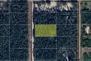 10620 Delgado Ave, Hastings, FL 32145 - Photo 1