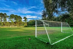 4757 Brayton Terrace S, Palm Harbor, FL 34685 - Photo 66