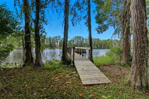 21817 Dupree Dr, Land O Lakes, FL 34639 - Photo 4