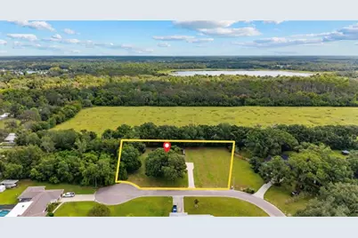 10204 Tranquil Lane, Odessa, FL 33556 - Photo 18