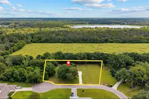 10204 Tranquil Ln, Odessa, FL 33556 - Photo 18