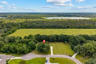 10204 Tranquil Ln, Odessa, FL 33556 - Photo 18