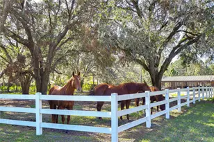 8345 Shenandoah Run, Wesley Chapel, FL 33544 - Photo 48