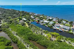 155 Sage Rd, Crystal Beach, FL 34681 - Photo 36