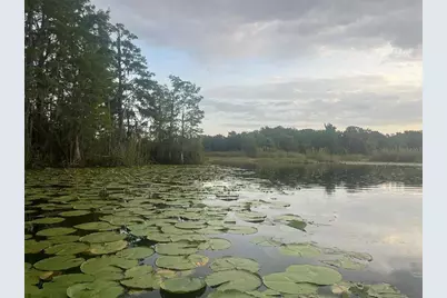 1135 N Jackadee Point, Inverness, FL 34453 - Photo 2