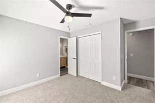 5311 Windbrush Dr, Tampa, FL 33625 - Photo 42