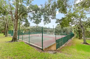 2701 3rd Ct, Palm Harbor, FL 34684 - Photo 32