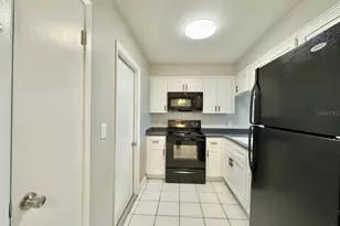 4019 W Nassau St, Tampa, FL 33607 - Photo 10