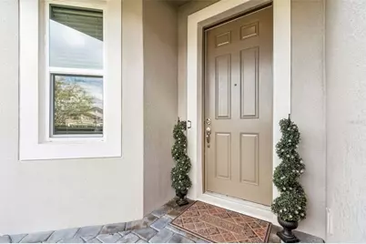 19322 Hawk Valley Drive, Tampa, FL 33647 - Photo 10