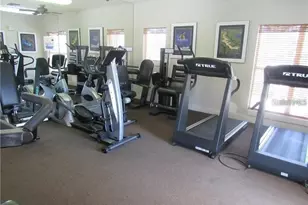 4107 Chatham Oak Ct, Tampa, FL 33624 - Photo 18