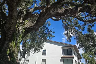 411 S Bayshore Blvd, Safety Harbor, FL 34695 - Photo 2