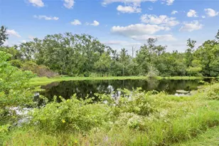 3020 Kensington Trce, Tarpon Springs, FL 34688 - Photo 80