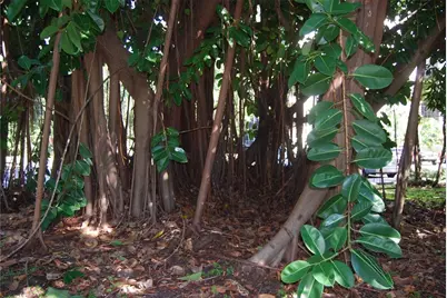 2650 Pearce Drive #106, Clearwater, FL 33764 - Photo 56