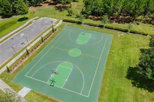 6818 Pine Springs Dr, Wesley Chapel, FL 33545 - Photo 88