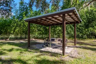 6707 W Dormany Rd, Plant City, FL 33565 - Photo 40