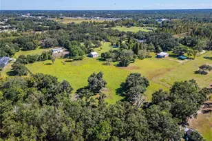 6930 Muck Pond Rd, Seffner, FL 33584 - Photo 10