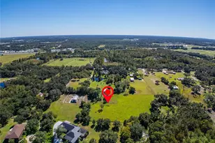 6930 Muck Pond Rd, Seffner, FL 33584 - Photo 14