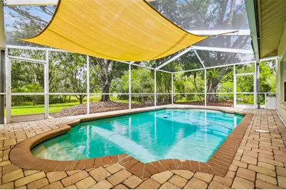 16916 Filly Lane, Odessa, FL 33556 - Photo 52