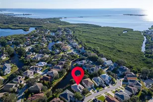 1122 S Pointe Alexis Dr, Tarpon Springs, FL 34689 - Photo 46