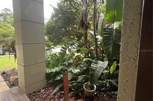 1654 Bayhill Dr, Oldsmar, FL 34677 - Photo 6