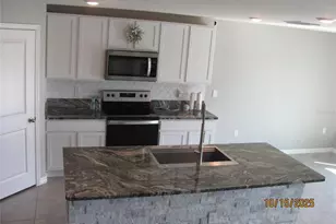 5289 Fiddle Fig Ave, Wimauma, FL 33598 - Photo 8