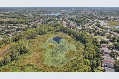 7842 Citrus Blossom Drive, Land O Lakes, FL 34637 - Photo 38