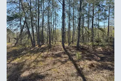 0 Lake Buffum Road, Lake Wales, FL 33859 - Photo 10