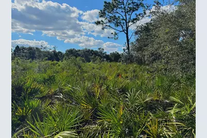 0 Alturas Babson Park Cut Off Road, Bartow, FL 33830 - Photo 10