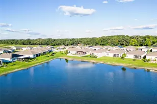 8349 Wheat Stone Dr, Zephyrhills, FL 33540 - Photo 54
