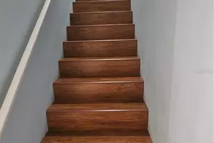 2943 Lichen Ln, Clearwater, FL 33760 - Photo 20