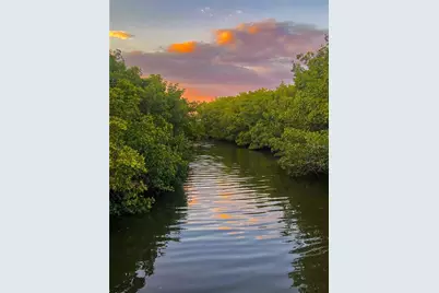 2943 Lichen Lane #B, Clearwater, FL 33760 - Photo 44