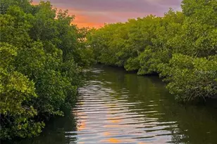 2943 Lichen Ln, Clearwater, FL 33760 - Photo 44