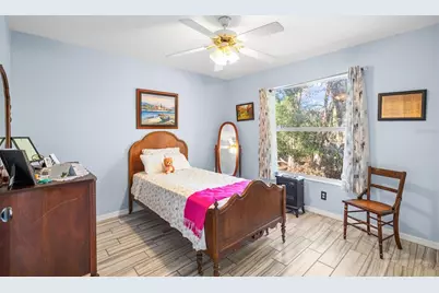 24437 Painter Drive, Land O Lakes, FL 34639 - Photo 30