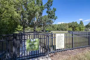 8919 Crystal Creek Ct, Land O Lakes, FL 34638 - Photo 76