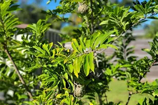 11596 Oval Dr E, Largo, FL 33774 - Photo 50