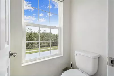 16519 Frehley Run, Land O Lakes, FL 34638 - Photo 60