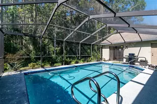 3238 Glenridge Dr, Palm Harbor, FL 34685 - Photo 40