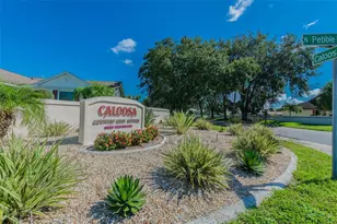 706 Plumbrook Rd, Sun City Center, FL 33573 - Photo 58