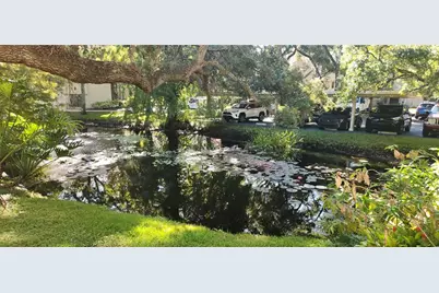 304 Los Prados #304, Safety Harbor, FL 34695 - Photo 68