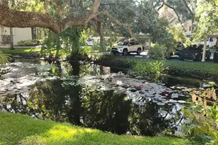 304 Los Prados, Safety Harbor, FL 34695 - Photo 68