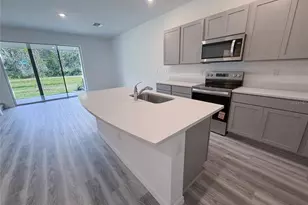 11372 Velvet Apricot Dr, Land O Lakes, FL 34638 - Photo 22