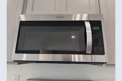 11372 Velvet Apricot Drive, Land O Lakes, FL 34638 - Photo 10