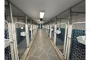 24392 Lanark Rd, Brooksville, FL 34601 - Photo 56