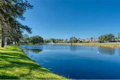 15624 Eastbourn Drive, Odessa, FL 33556 - Photo 8