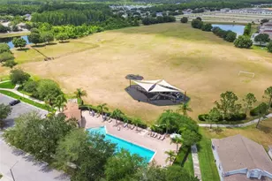 17347 Mint Leaf Ln, Land O Lakes, FL 34638 - Photo 60