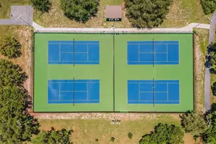 765 Sandy Hook Rd, Palm Harbor, FL 34683 - Photo 60