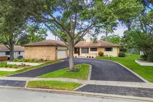 765 Sandy Hook Rd, Palm Harbor, FL 34683 - Photo 46