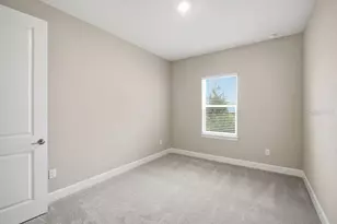 3871 Cavour Ct, Wesley Chapel, FL 33543 - Photo 14