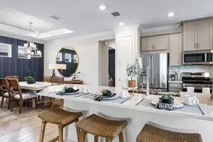 3871 Cavour Ct, Wesley Chapel, FL 33543 - Photo 16